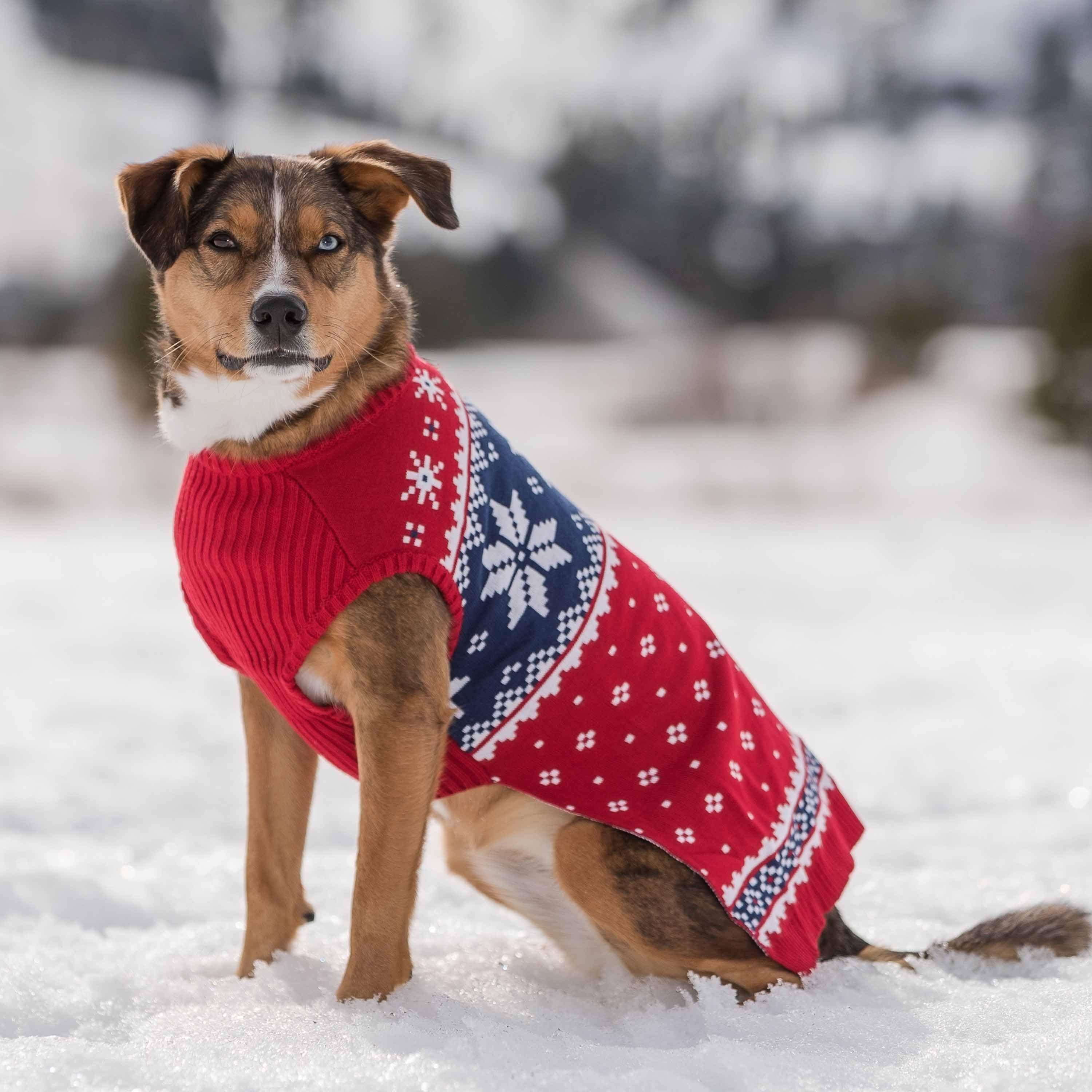 Blueberry Pet - Wholesale Pet Sweater - Dog - Custom-Knit & Dyed Christmas Snowflake Sweater - 6 Design 35