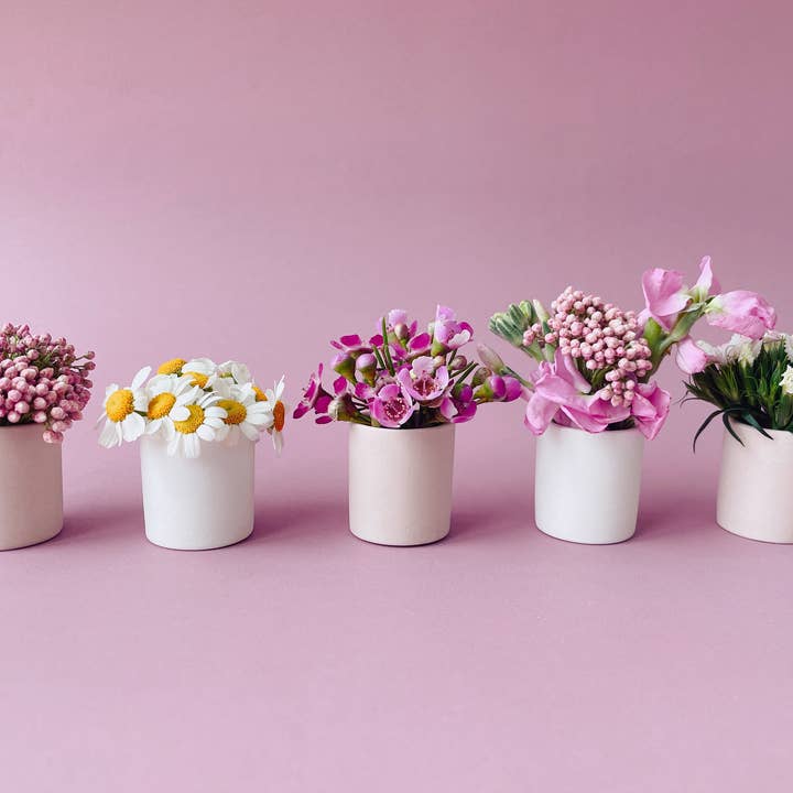 Jungle Club - Wholesale Plant Pot - Tiny Pot | Pink