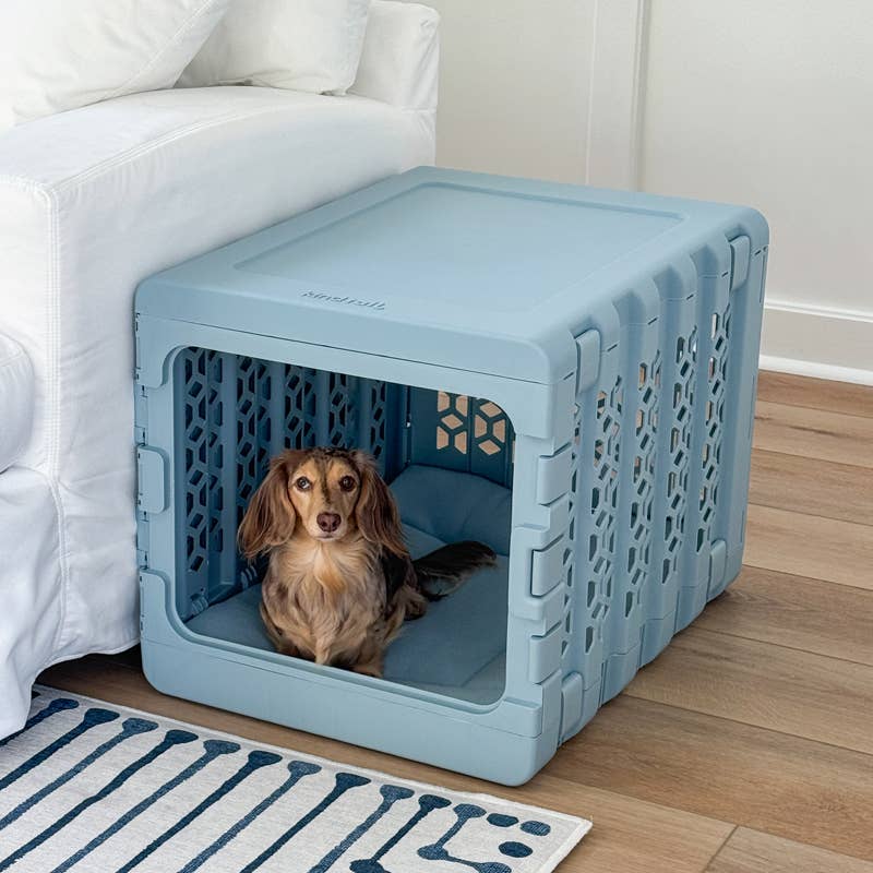 KindTail - Wholesale Pet Carrier - Dog - Medium Pawd® | Modern Collapsible Plastic Dog & Pet Crate18