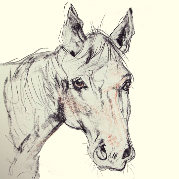 Estampa Tammy por atacado de Caroline Walker