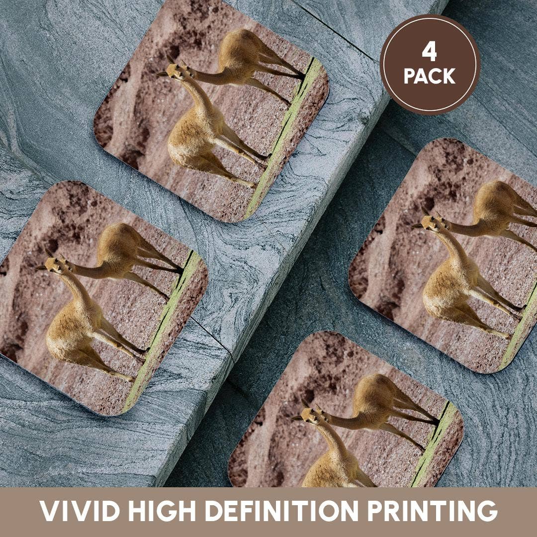 3dRose - Wholesale Coasters - 3dRose, Vicuna in the Altiplano of Argentina near Tolar Grande., Coaster12