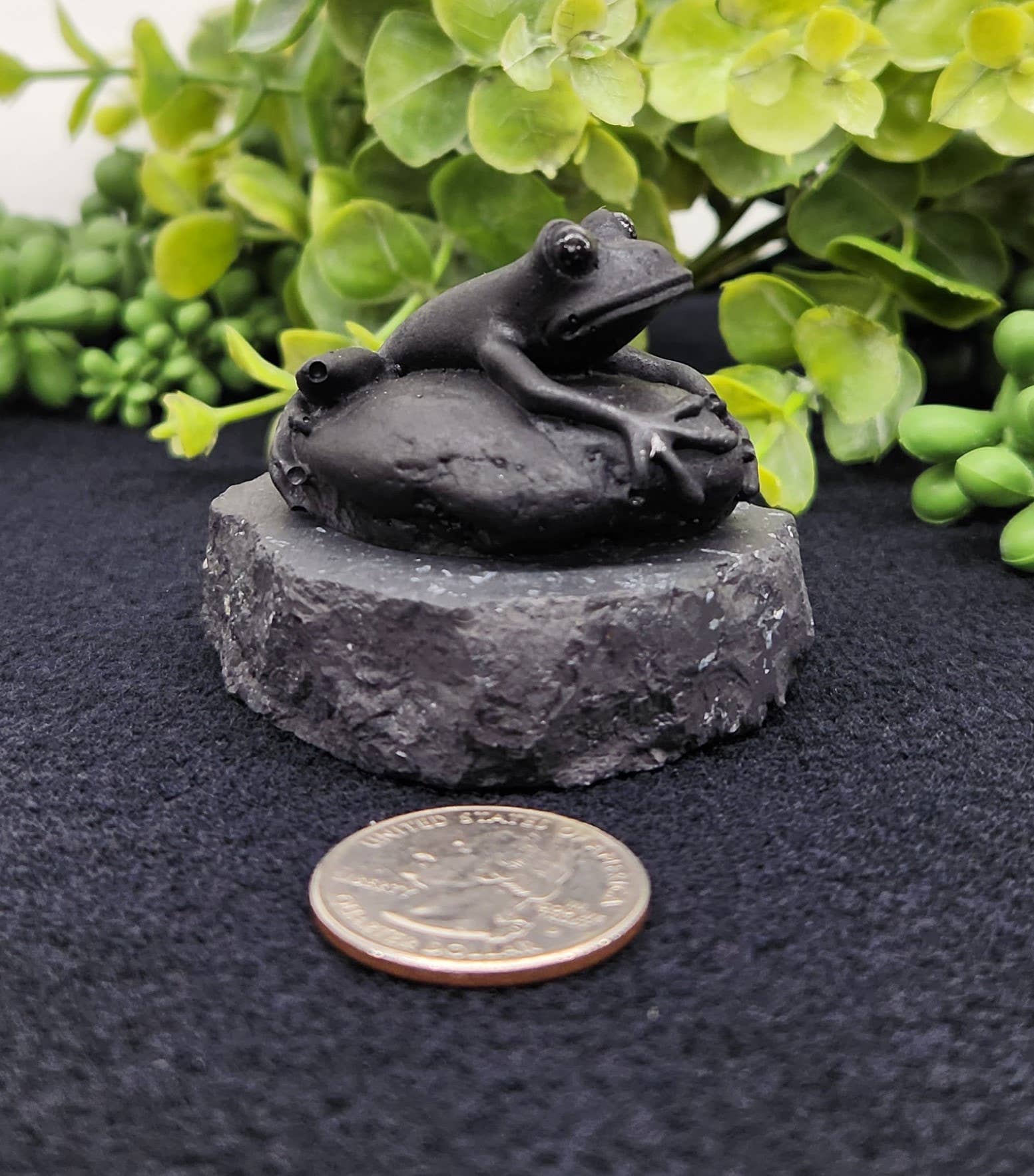 Meraki Gemstones - Wholesale Decorative Figurine - Shungite Figurine Frog on Stone(2.5x2x1.75")(EMF Protection)6