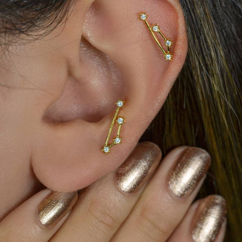 StockJWL - Wholesale Stud/Post Earrings - 12 Zodiac Earrings, Constellation Stud Earring Stud Piercing Tragus Helix Lobe and Cartilage Silver And Gold6