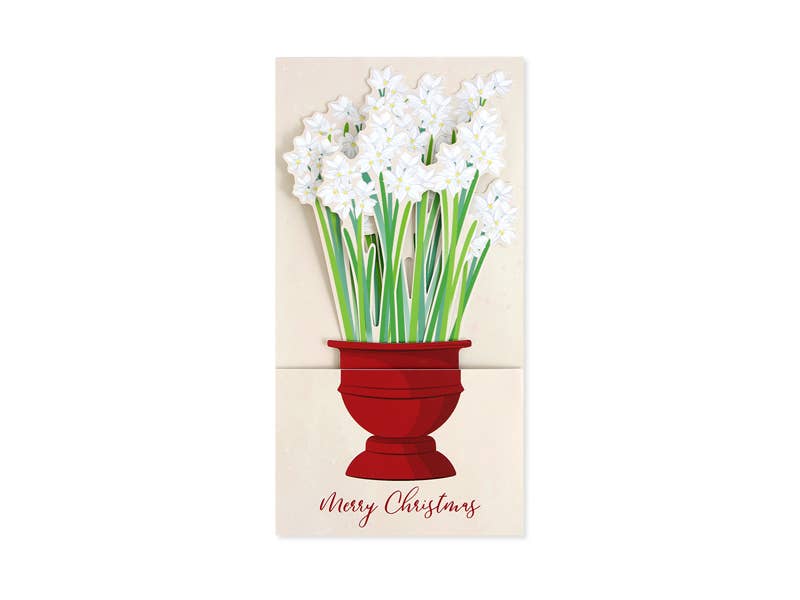UWP Luxe - Wholesale Christmas Card - Christmas Paperwhites Boxed Card Set 6-Count2