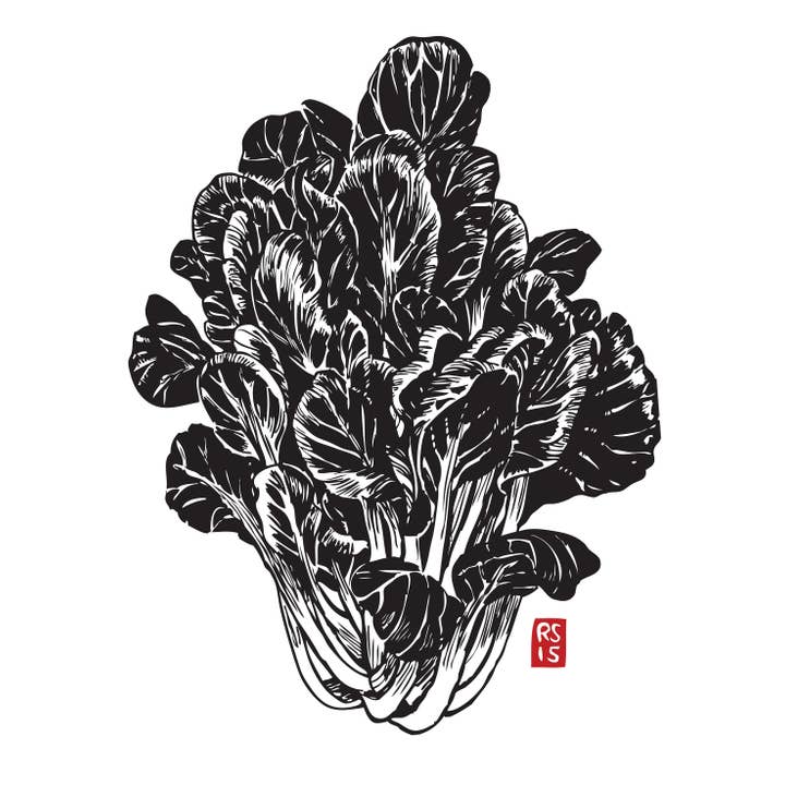 RFM-533 Tat Soi Art Print voor wholesale door Rigel Paper