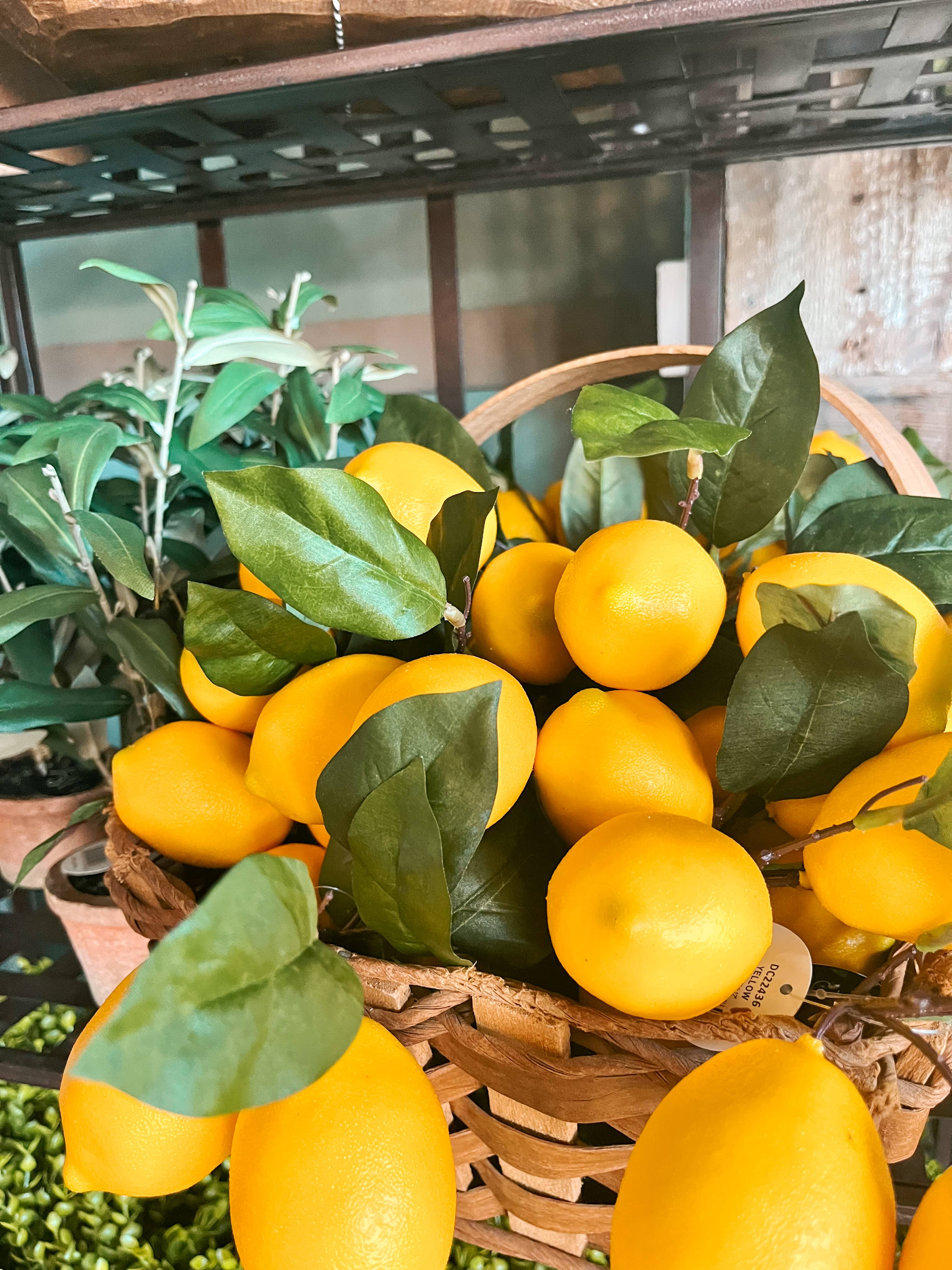 David Christopher's Collection - Wholesale Artificial Plant - Lemon Plant Pick 12"1