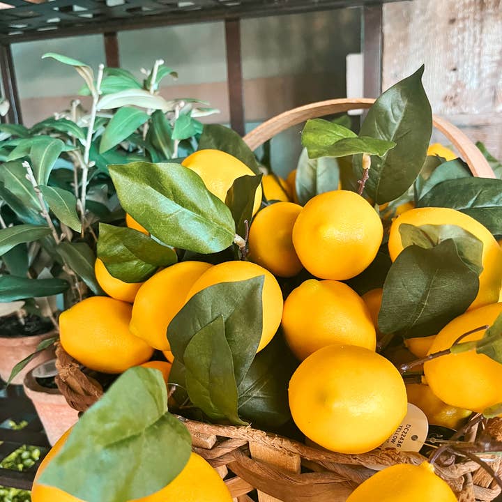 David Christopher's Collection - Wholesale Artificial Plant - Lemon Plant Pick 12"1