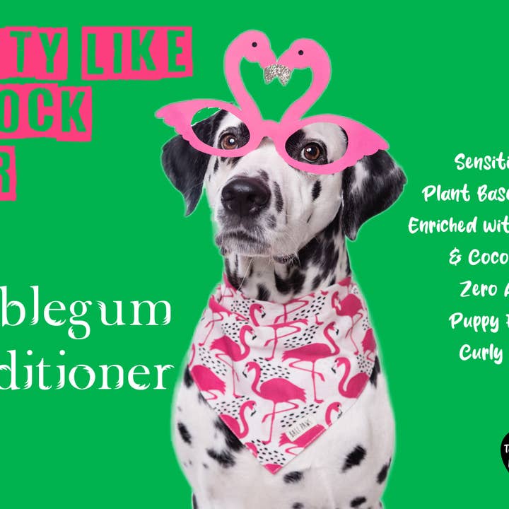 Paws Looking Fabulous - Wholesale Pet shampoo – Dog - Flock Star Bubblegum Natural Dog Shampoo & Conditioner - 5L2