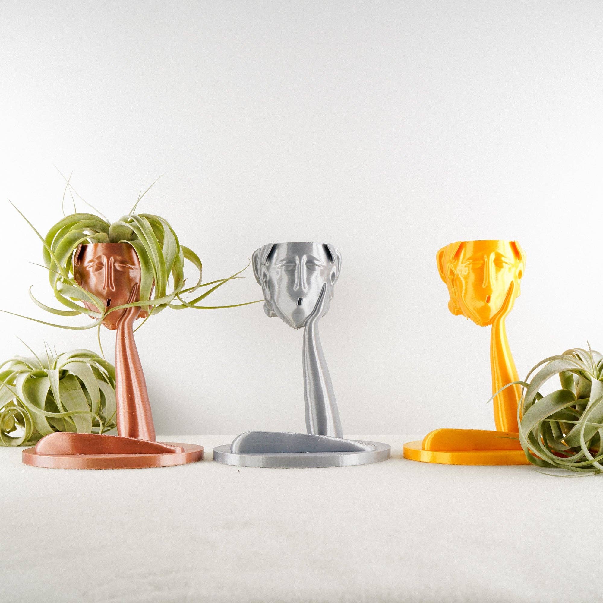 Rosebud Homegoods - Vente Pot - Jardinière Tête Méduse Air15