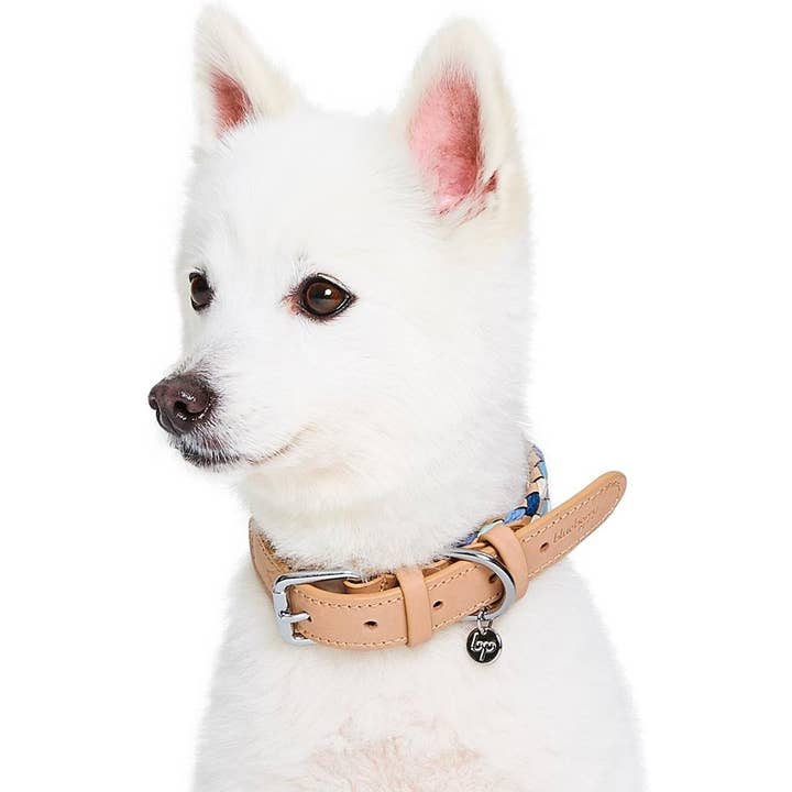Blueberry Pet - Wholesale Pet Collar - Dog - 2 Colors, Braided Full Grain Leather Dog Collar