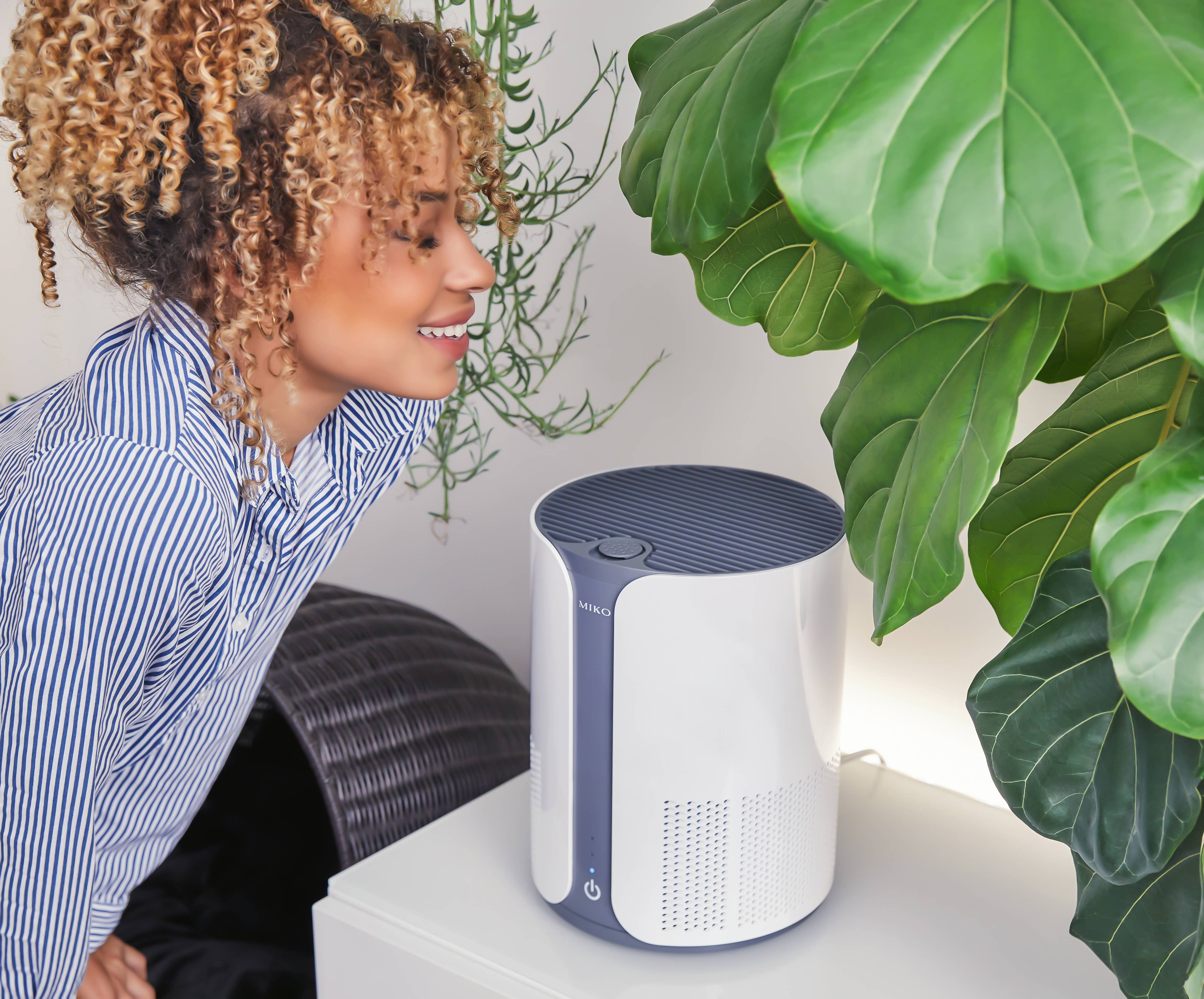 White Grey Miko Air Purifier with Essential Oil // Ibuki for wholesale on Faire6