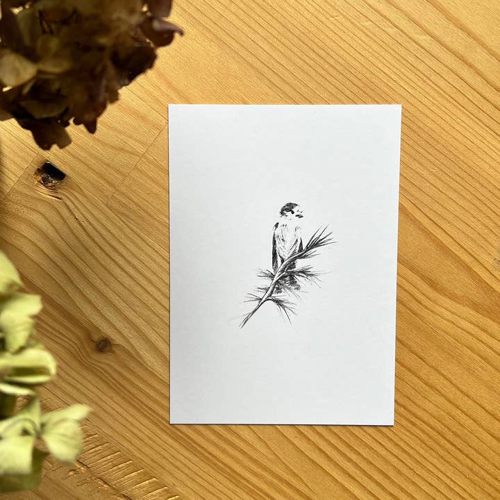 Postcard "Bird" (10.5 x 14.8 cm) for wholesale by Maëlle LESAGE
