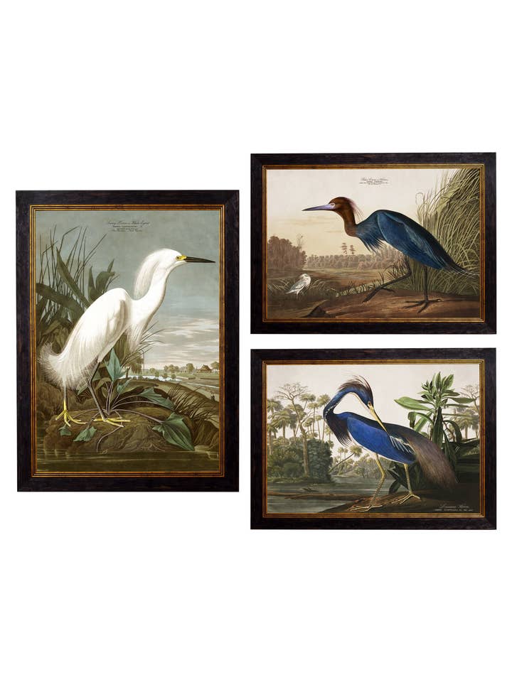c.1838 Audubon's Herons for wholesale by T A Interiors Wall Art & Mirrors