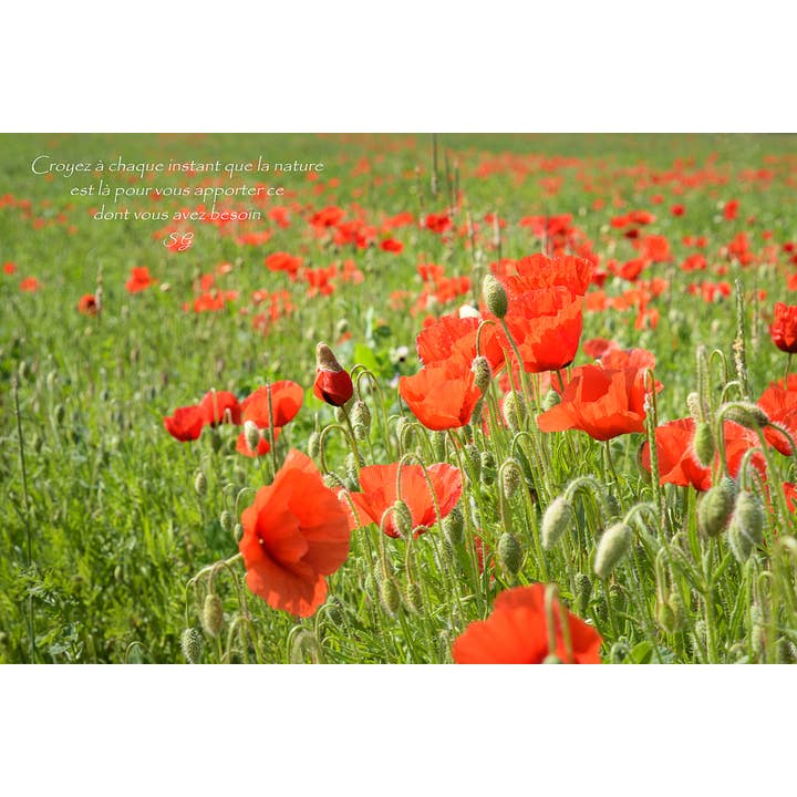 Lys ånd for engroshandel hos L'Ecriture D'Un Regard