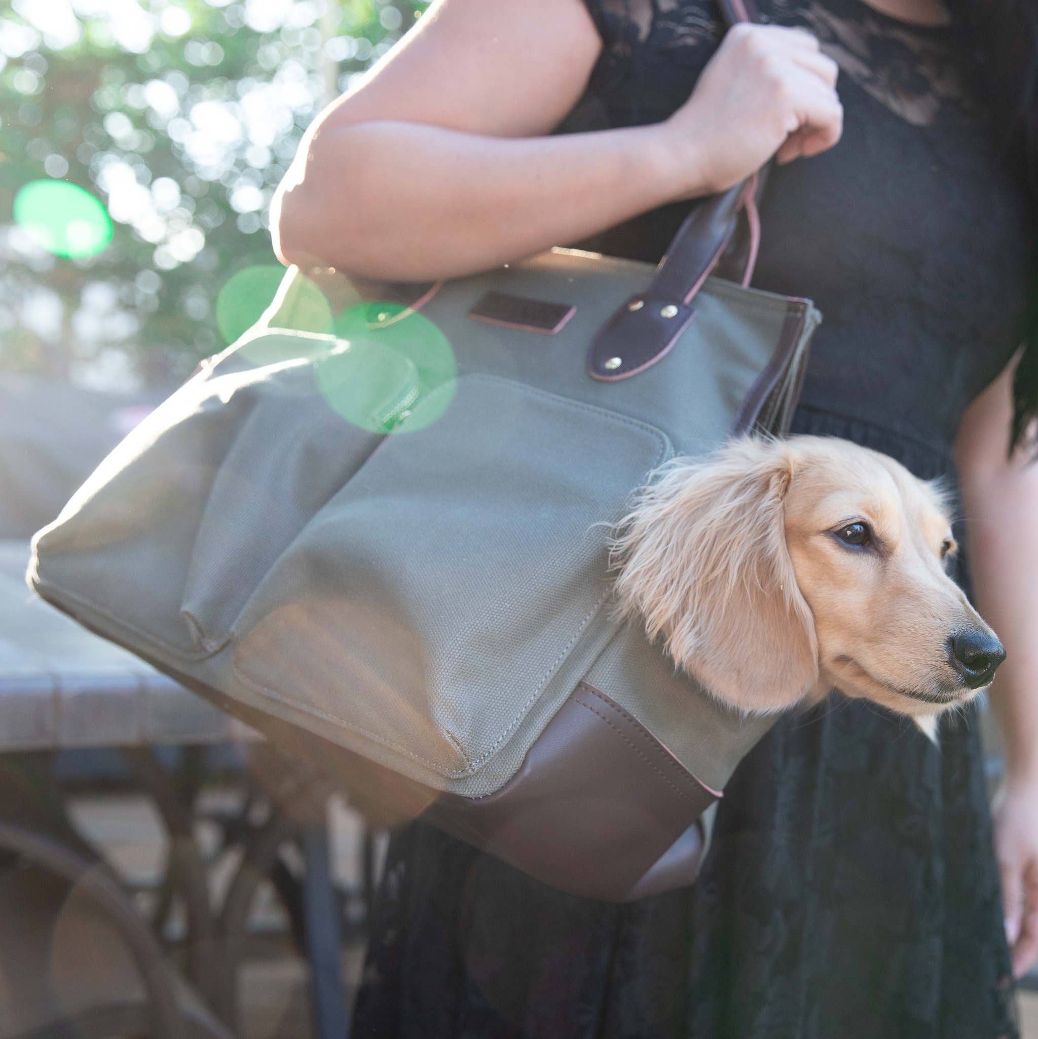 DJANGO - Wholesale Pet Carrier - Dog - Dog Carrier Bag - Olive Green Waxed Canvas and Leather1