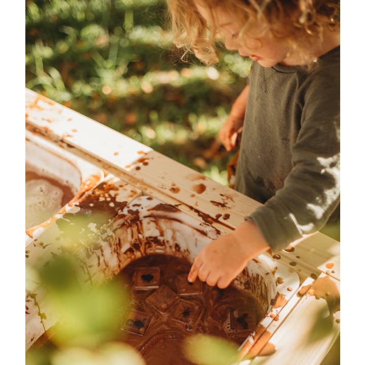 Our Earth Life - Wholesale Toy set – Kids - Creepy Crawlers Specimen Set2