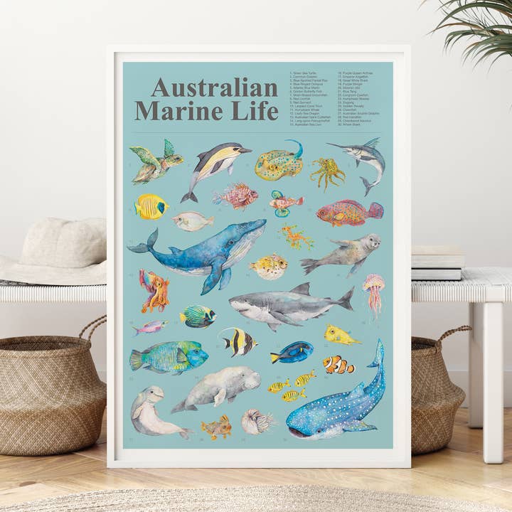 Australian Marine Life A2 Art Poster // Wall Art for wholesale by Watercolour By Cat