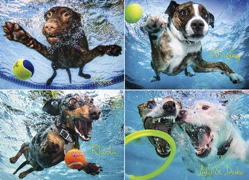 Willow Creek Press & Gifts - Wholesale Puzzle – Adult - Underwater Dogs 2 1000-piece Puzzle1