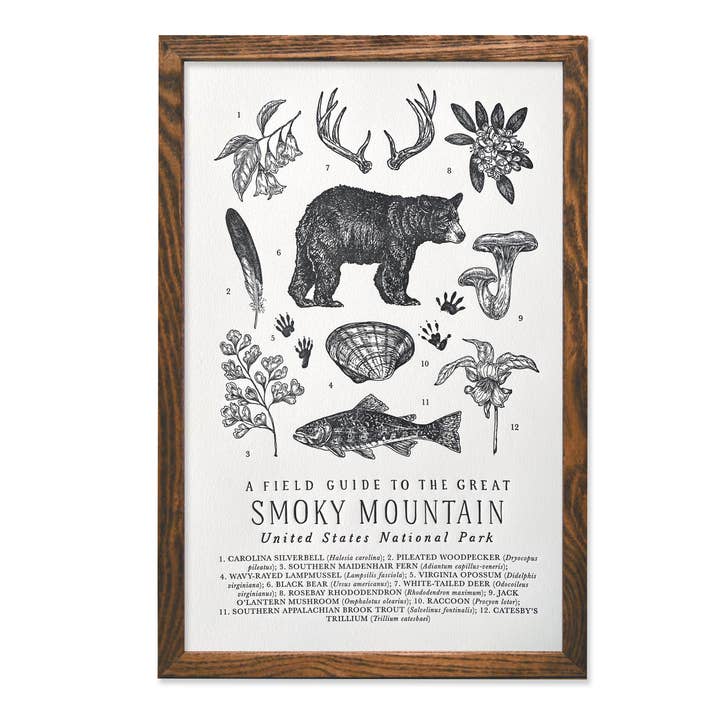 The Wild Wander - Wholesale Art Print - Great Smoky Mountains National Park Field Guide0