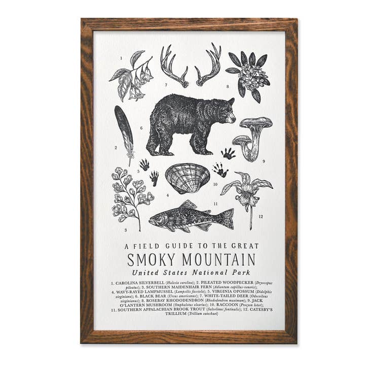 The Wild Wander - Vente Affiche d'art - Guide du parc national des Grands Smoky Mountains