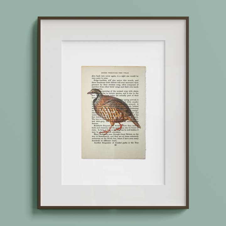 Partridge Vintage Book Page A4 Art Print for wholesale by Hands & Hearts