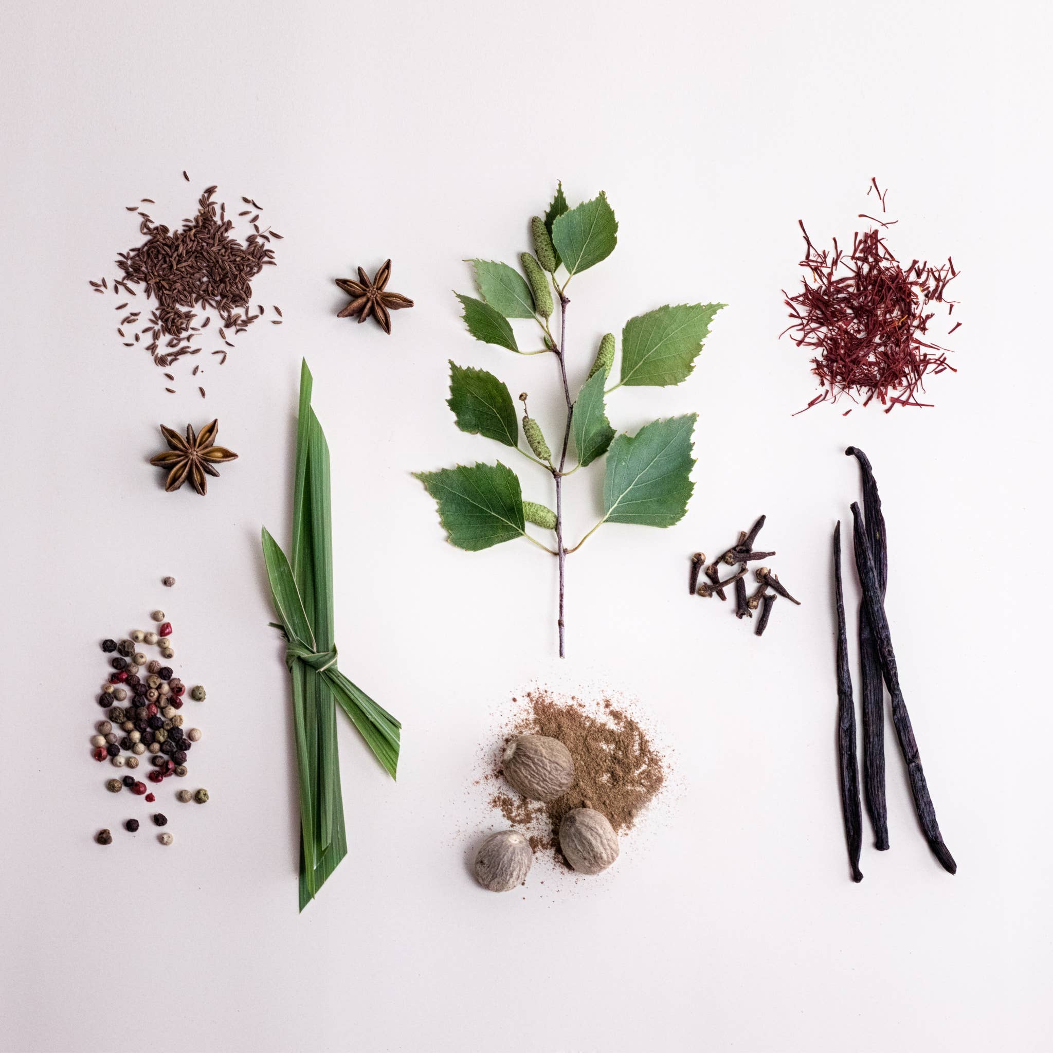 SCENTORIE. - Wholesale Jar/Filled Candle - GOLDEN PALACE Rapeseed Wax Scented Candle 300g/60h1