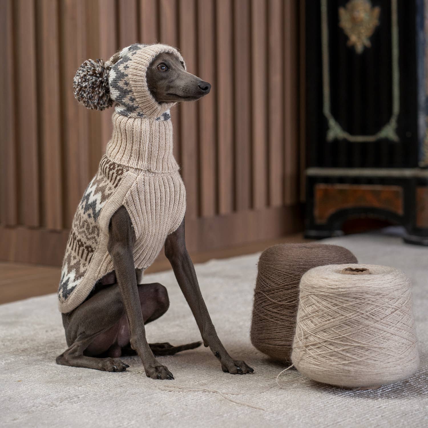 Alqo Wasi – chapéu - Cão por atacado – Gorro de inverno em lã de alpaca para cães3