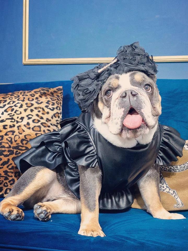 PETITE ROBE NOIRE pour la vente par Maxine Avenue NYC by Funari