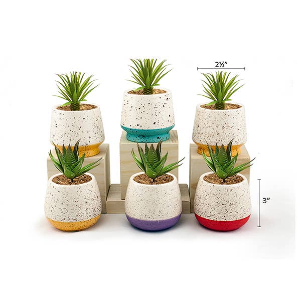 Land & Sea - Wholesale Plant Pot - Mini Pots