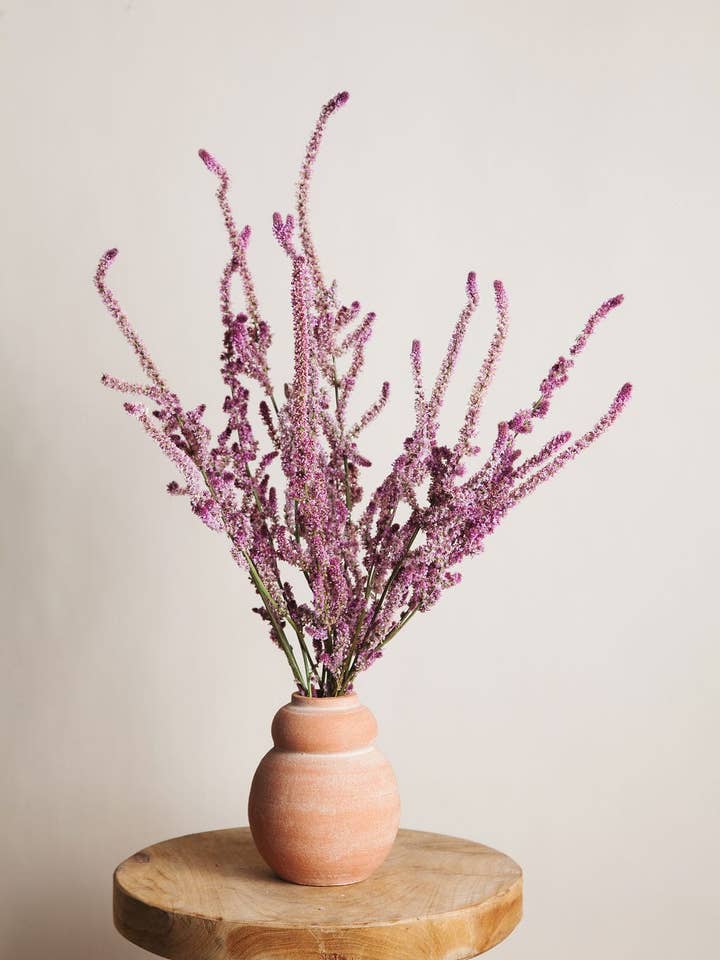 Pink Russian Statice for wholesale by Idlewild Floral Co.