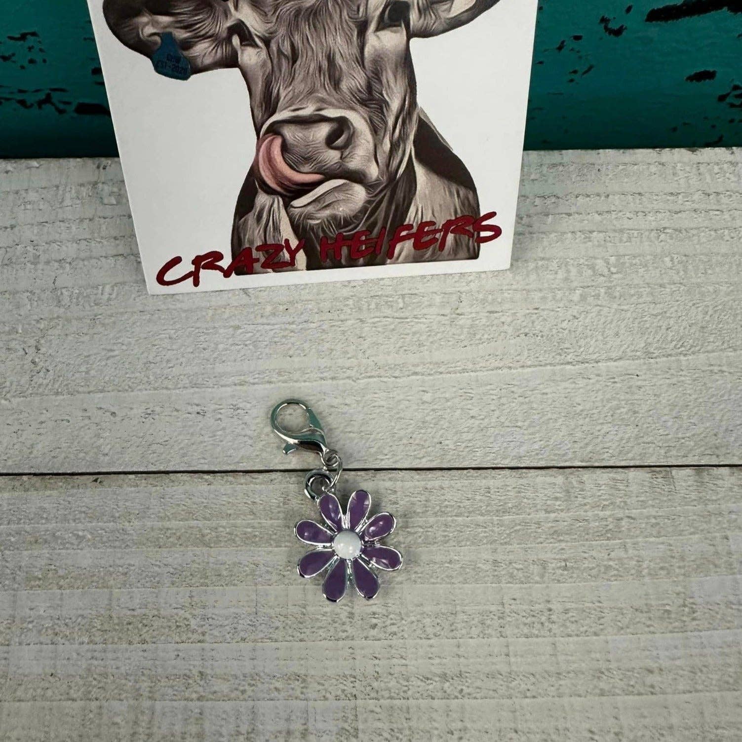 Crazy Heifers Wholesale - Wholesale Individual Charm/Pendant - Clip-on Charms Silver Tone10