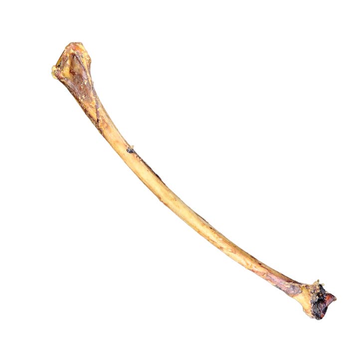 Savannah Pet Food - Wholesale Pet Treats - Dog - Ostrich Wing Bone2