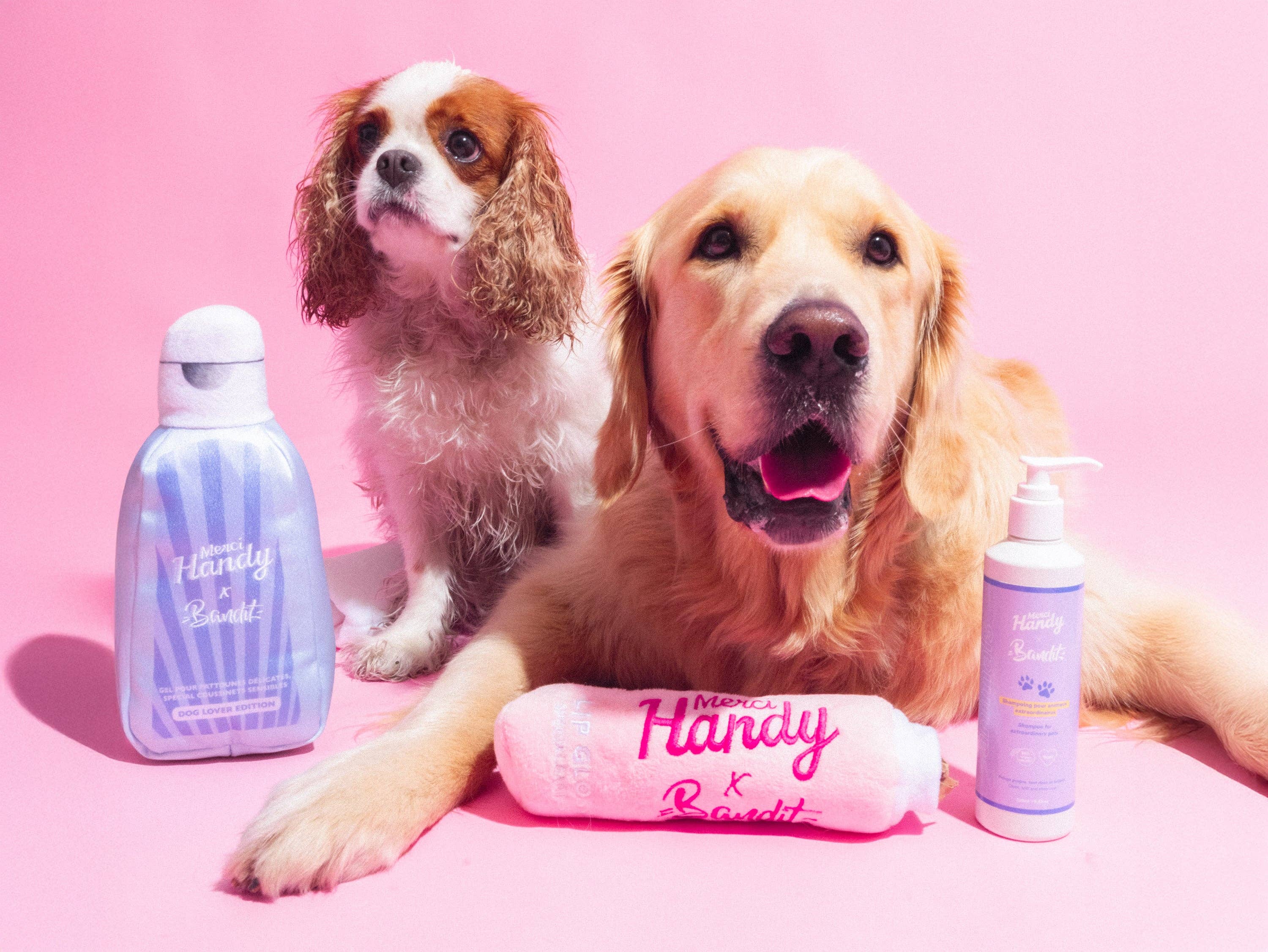 French Bandit - Wholesale Pet Toy - Cat/Dog - Bandit Frozen Toy x Merci Handy2