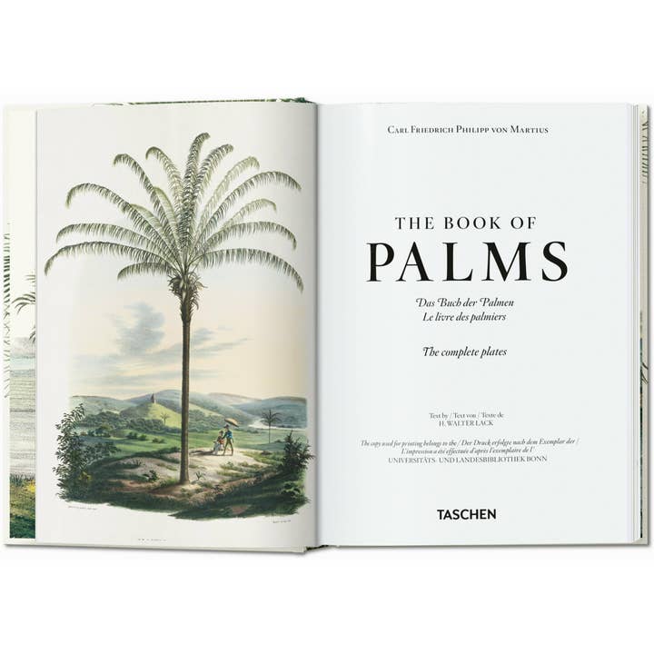TASCHEN America - Wholesale Nature & Outdoors - Martius. The Book of Palms. 45th Ed. (German, French, English)1