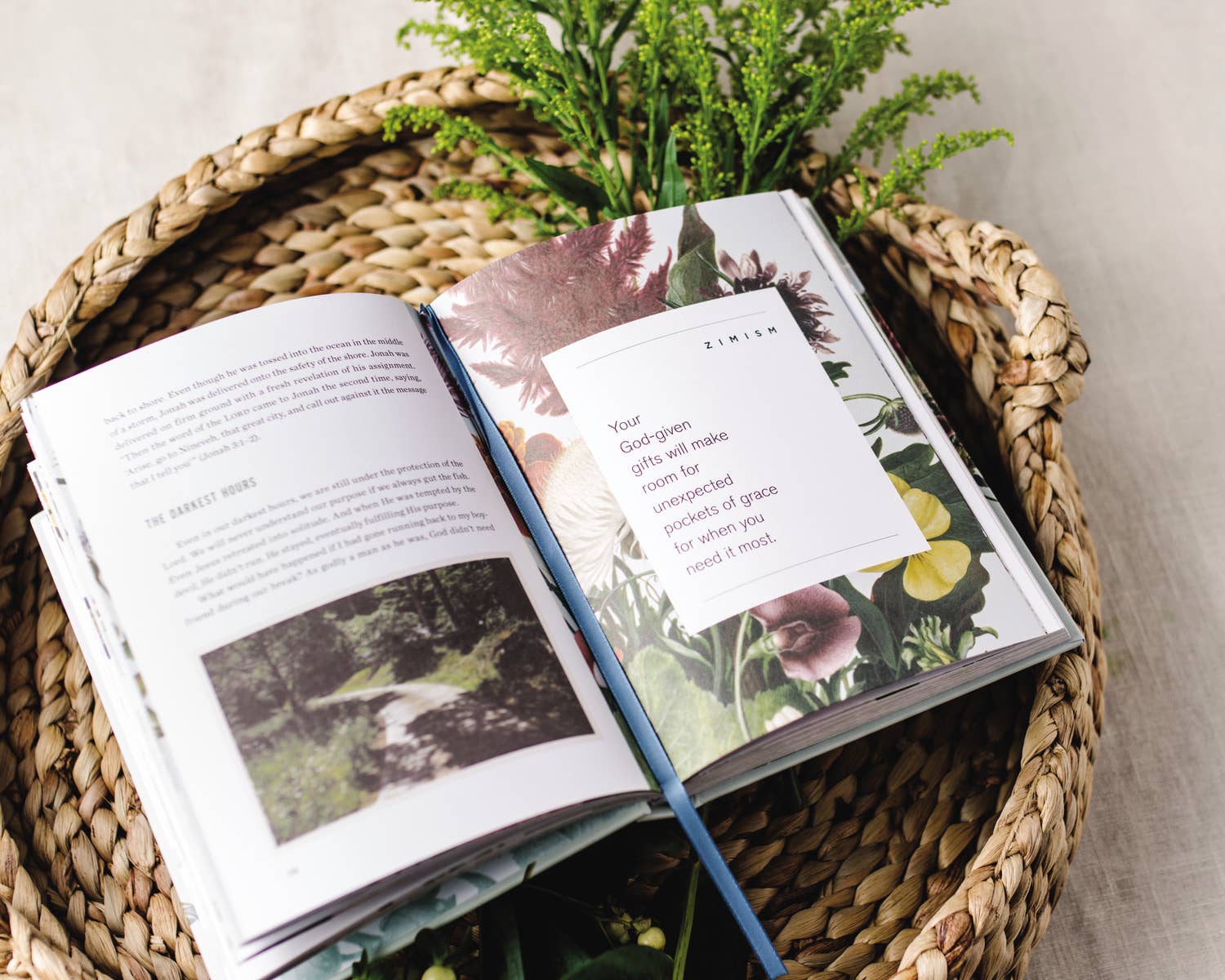 HarperCollins Christian Publishing - Wholesale Self-Help & Personal Development - Dare To Bloom8