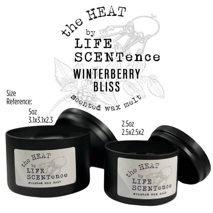 Ensemble de 2 pièces Cire Fondante pour Conteneur HEAT Winterberry Bliss pour la vente par Life SCENTence