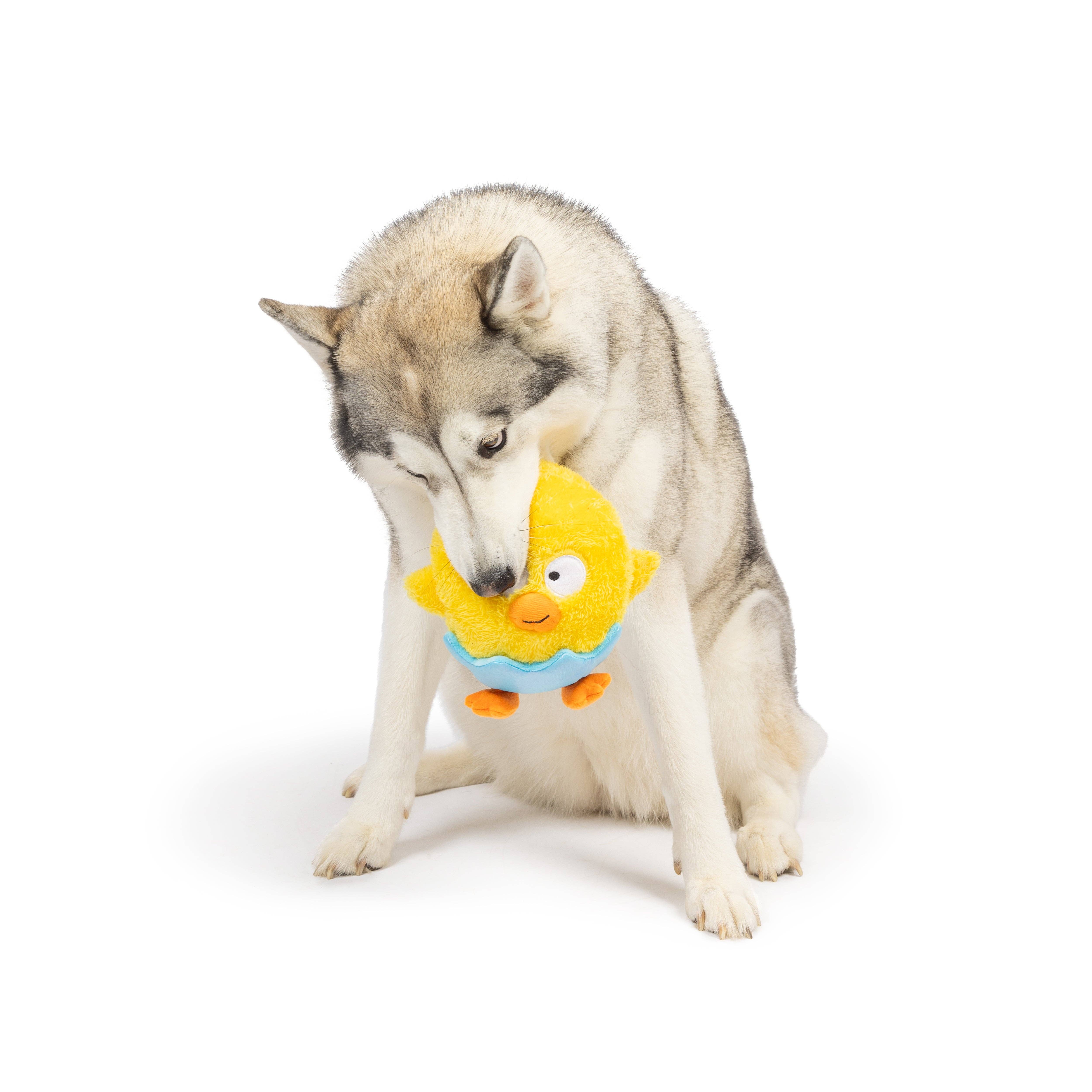Huxley & Kent - Vente Peluche – chien - Jouet pour chien Chick-A-Dee6