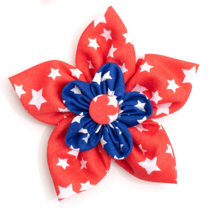 Stars Flower for wholesale by The Worthy Dog