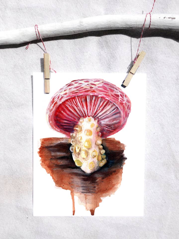 Fungus Wrinkle peach art print for wholesale by Lindsey Munson