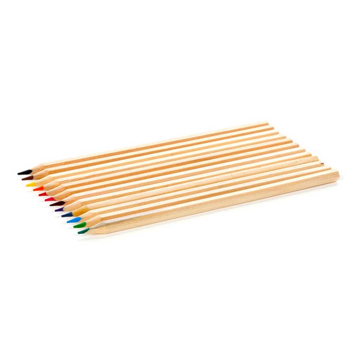 Puckator Ltd – wholesale Pencil case/pouch – Jan Pashley Highland Coo Large 12 Colouring Pencils2