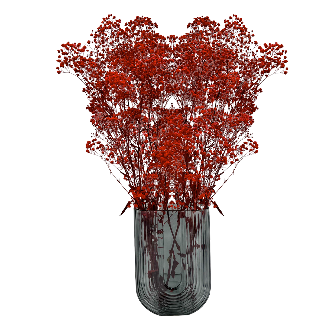 2626 Designs - Wholesale Dried/Pressed Flowers - Preserved Gypsophila, Baby's Breath,24" long21