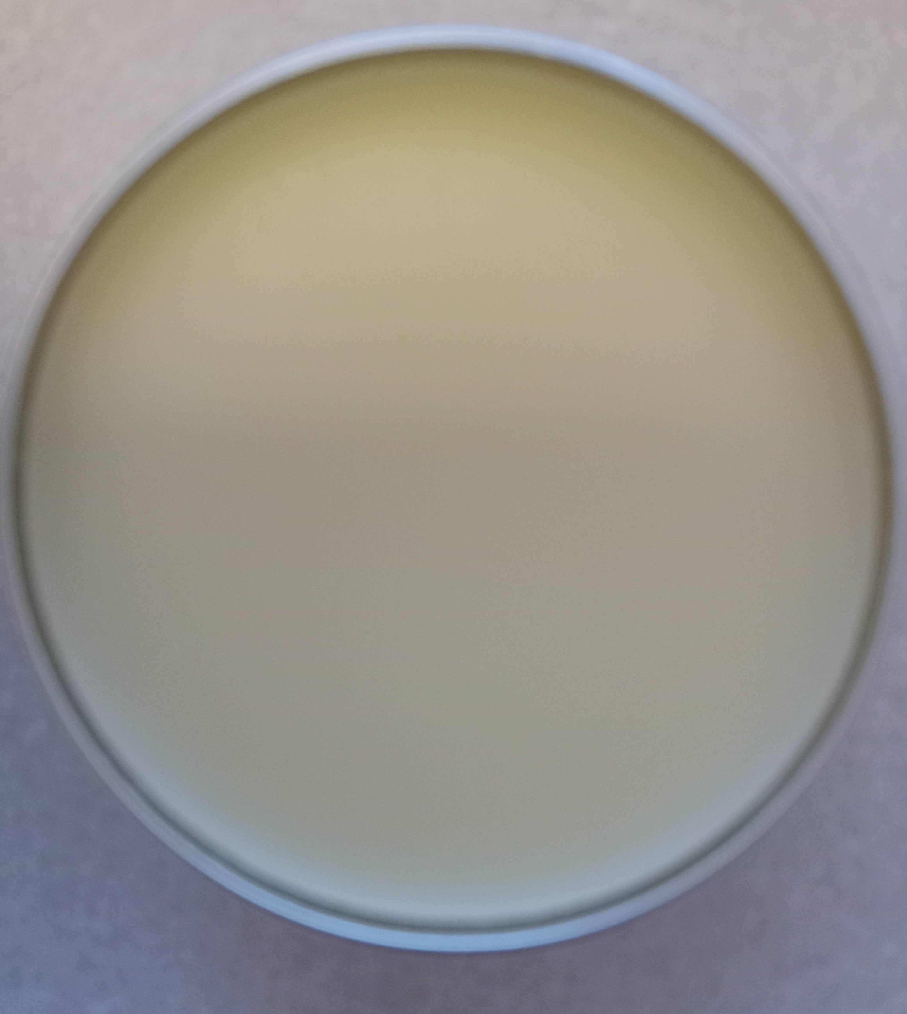 Mnemosyne's Gems – wholesale Pet balm – Dog – Tallow Nose and Paw Balm for dogs and cats 2 oz tin 1