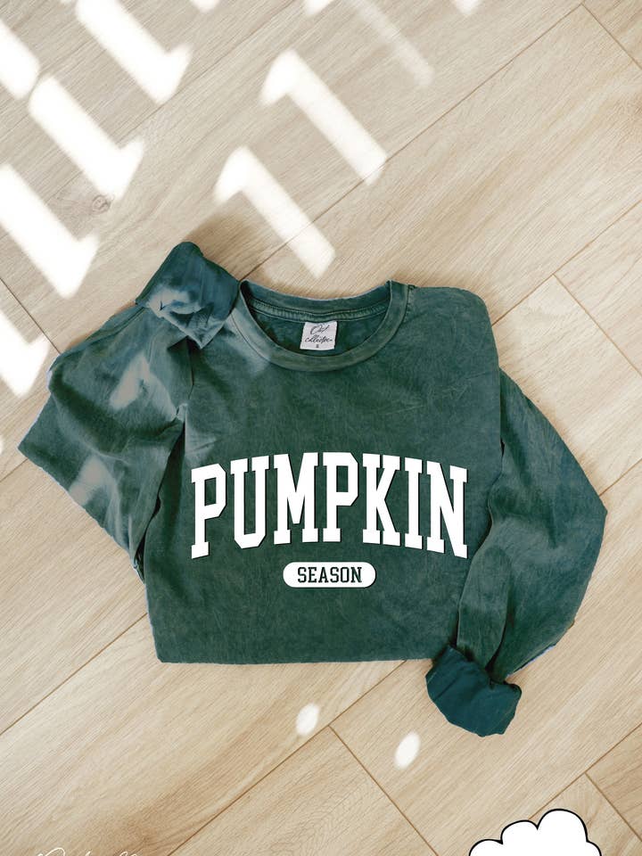 PUMPKIN SEASON PUFF Mineral Washed Long Sleeve Graphic Top for wholesale by OAT COLLECTIVE