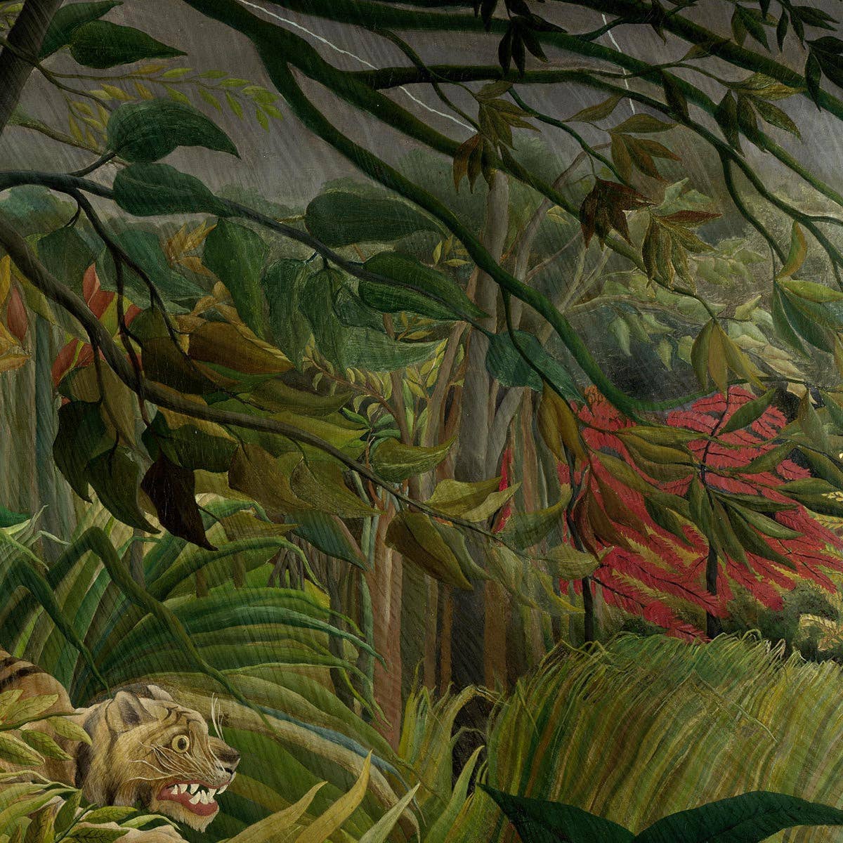 Rock Paper Scissors Wall Art - Vente Affiche d'art - Impression d'art Tigre dans une tempête tropicale par Rousseau5