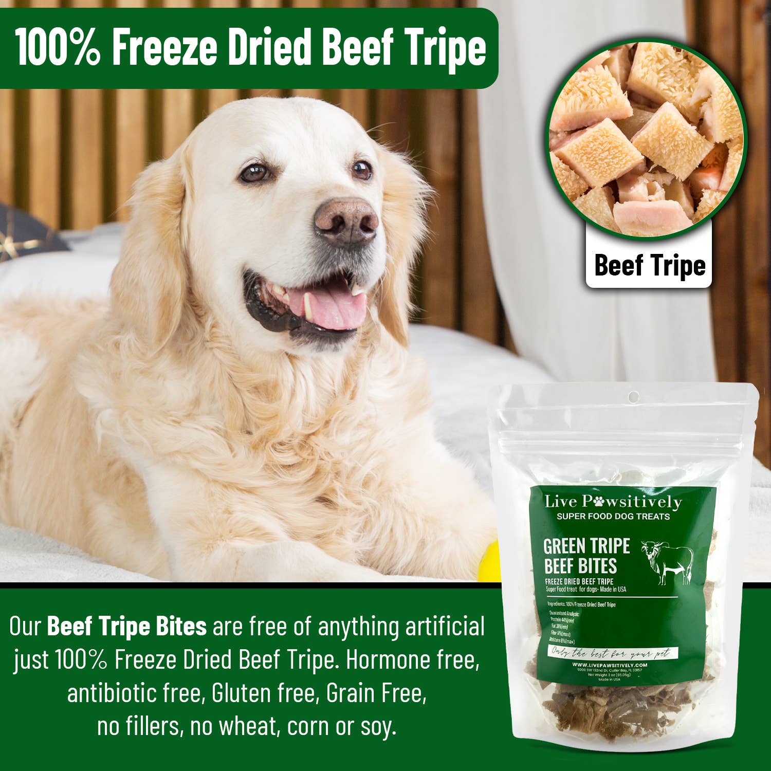 Live Pawsitive - Wholesale Pet Treats - Dog - Green Tripe Beef Bites (Freeze Dried Superfood for pets)3
