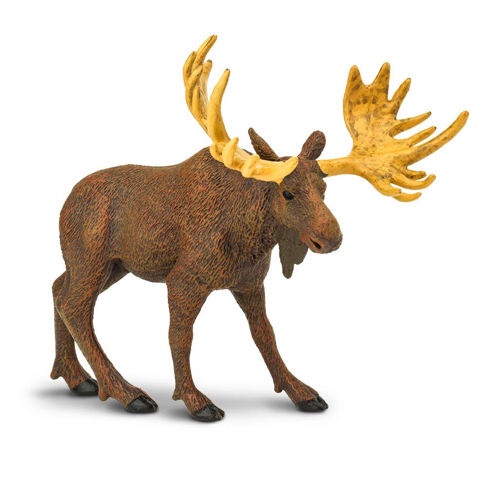 Safari Ltd. - Wholesale Decorative Figurine - Moose - 2900291