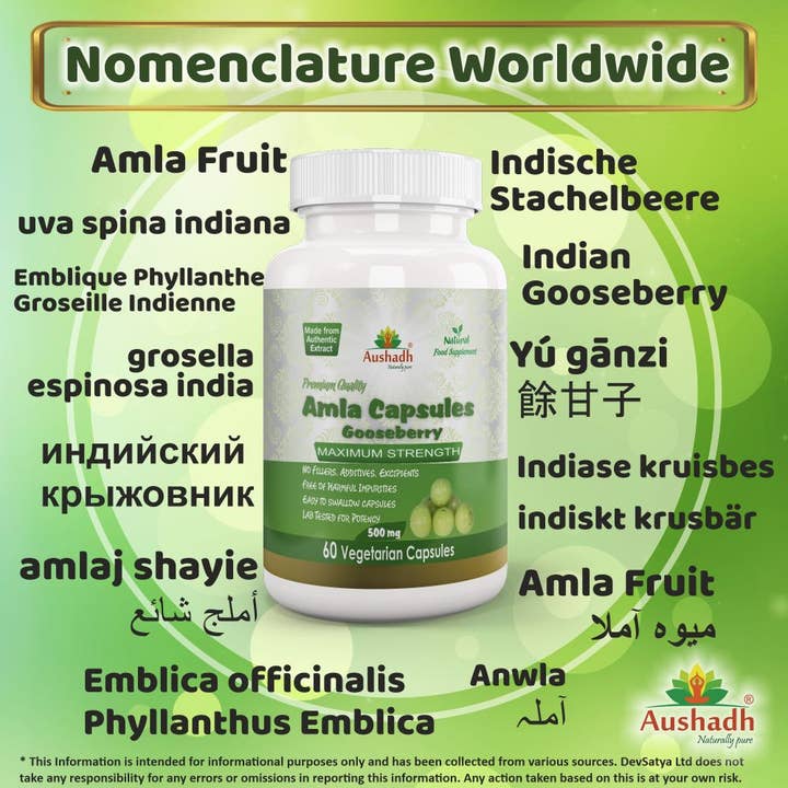 DevSatya Ltd Aushadh, Ayushya, Divyaherb - Wholesale Oral Supplement/Vitamin - Amla Fruit Capsule2