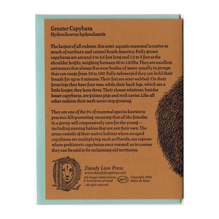 Dandy Lion Press - Wholesale Everyday Greeting Card - Capybara Letterpress Greeting Card 1