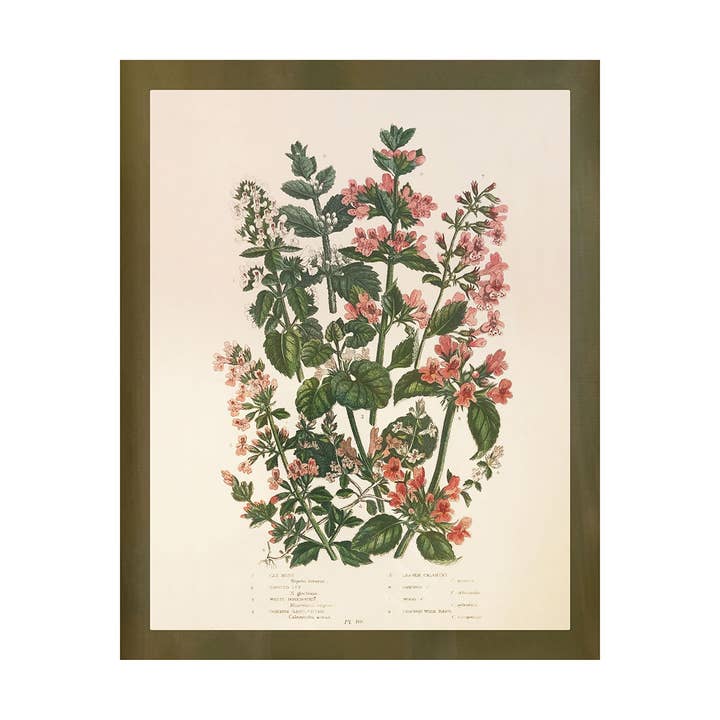Wildflower Study (Cat Nip & Ivy) for wholesale by Shop At Sullivan