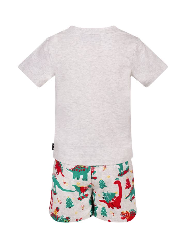Grey Dino JIGGLE JAWS OUTLAW PJ SLEEP SET for wholesale on Faire5